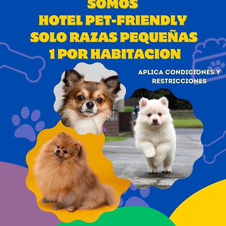 Hotel Casablanca Natural Spa 파이파 외부 사진