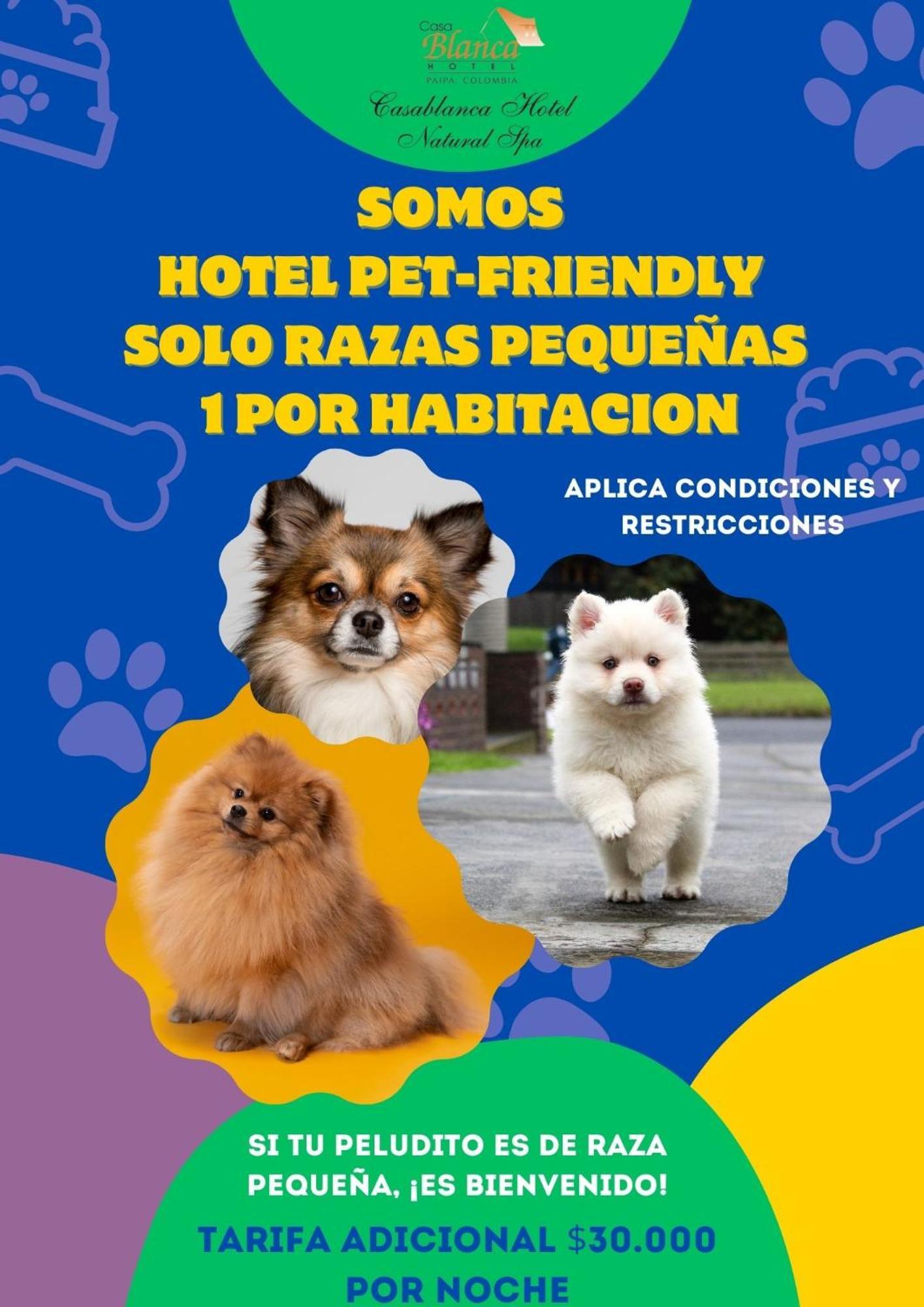 Hotel Casablanca Natural Spa 파이파 외부 사진